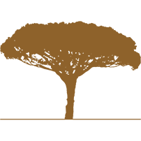 Grandes Bodegas - D.O. Ribera del Duero